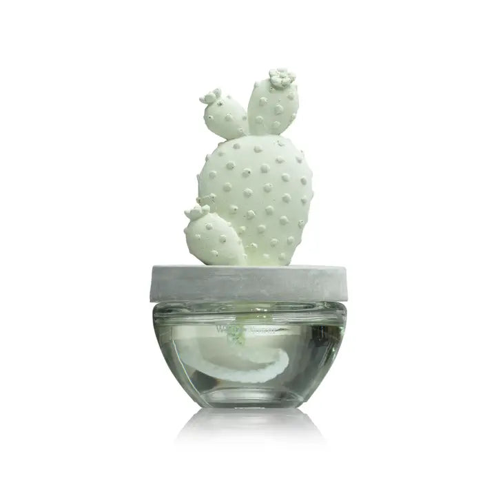 CACTUS BUNNY EAR CERAMIC DIFFUSER SET - 100ml