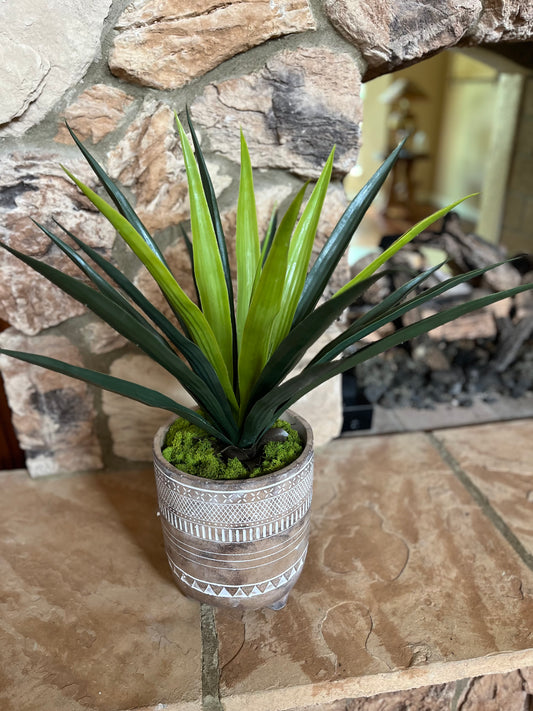 PATTERNED POT WITH FAUX AGAVE PLANT