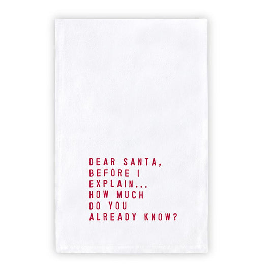 DEAR SANTA I CAN EXPLAIN- Towel