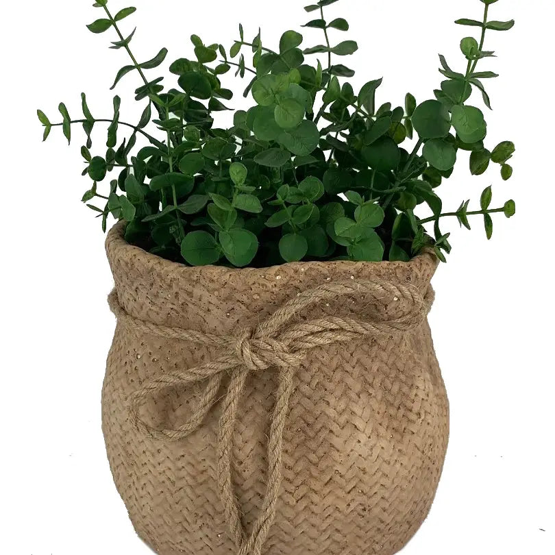 Cement Sack with Rope Tie Planter