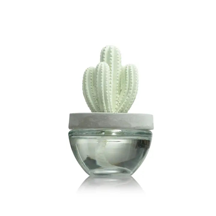 CACTUS SAGUARO CERAMIC DIFFUSER SET - 100ml & REFILL