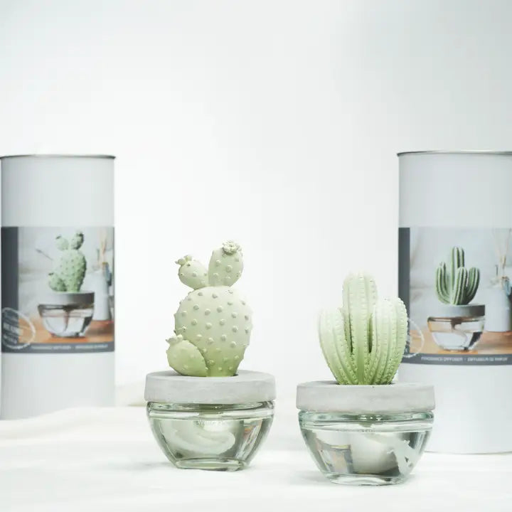 CACTUS SAGUARO CERAMIC DIFFUSER SET - 100ml & REFILL